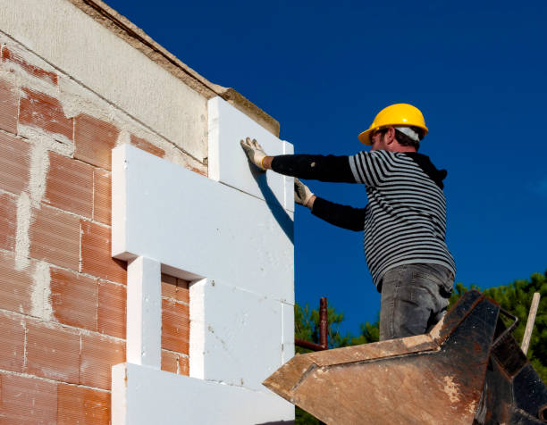 Best Affordable Insulation Services  in Bonita, CA