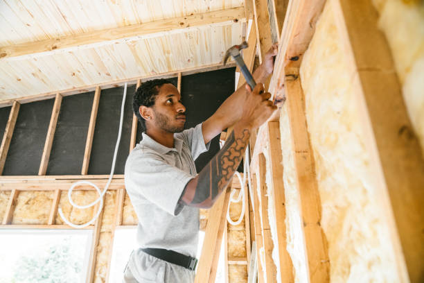 Best Attic Insulation Installation  in Bonita, CA