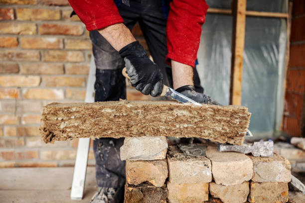 Best Insulation Repair Services  in Bonita, CA