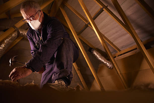 Best Garage Insulation Installation  in Bonita, CA